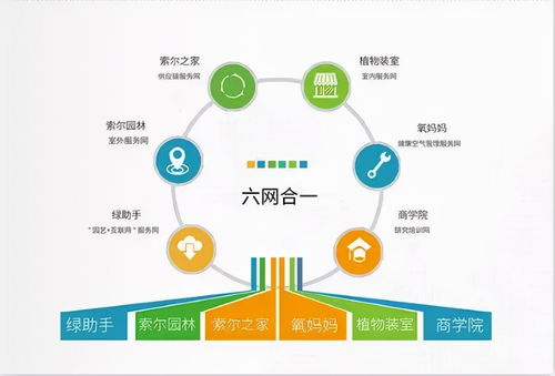 園林綠化廣告宣傳與軟件開發(fā) 如何通過網(wǎng)絡(luò)營(yíng)銷接大工程訂單